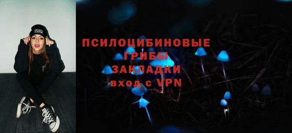 стаф Снежногорск