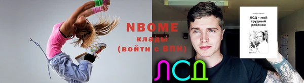 стаф Снежногорск