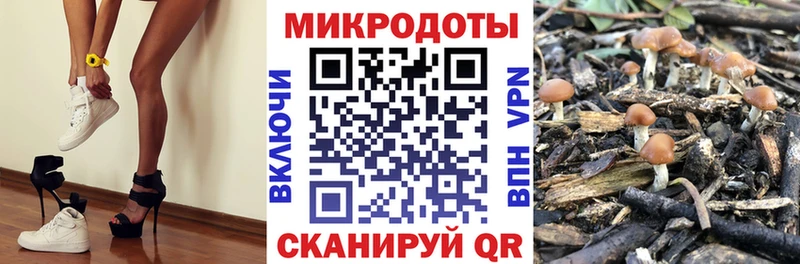 МЕГА зеркало  где купить наркоту  Воркута  Галлюциногенные грибы MAGIC MUSHROOMS 