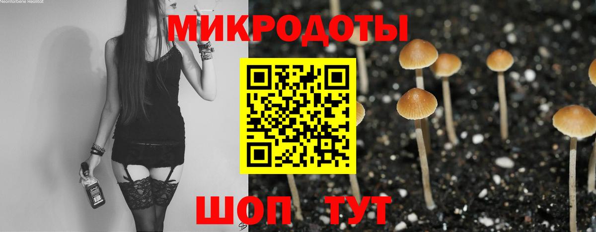 Галлюциногенные грибы Psilocybine cubensis Воркута
